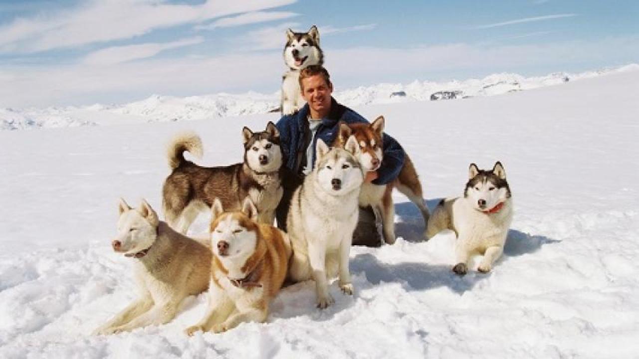 مشاهدة فيلم Eight Below 2006 مترجم لاروزا