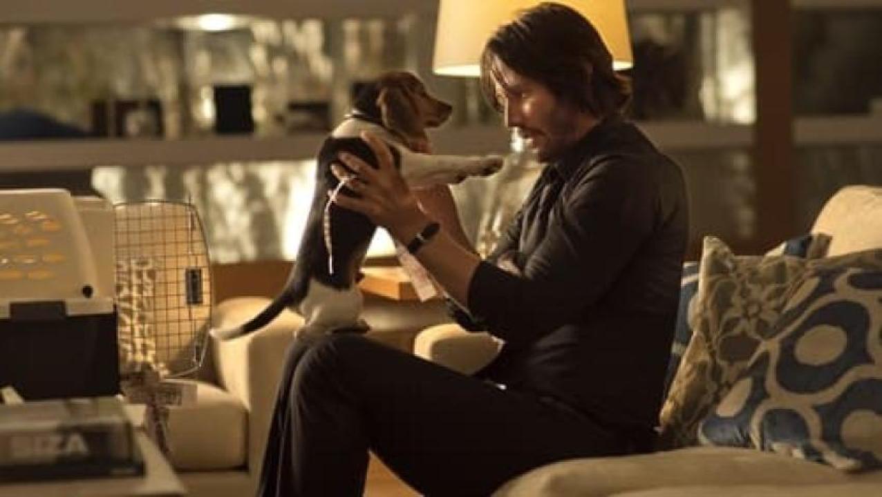 مشاهدة فيلم John Wick 1 2014 مترجم لاروزا