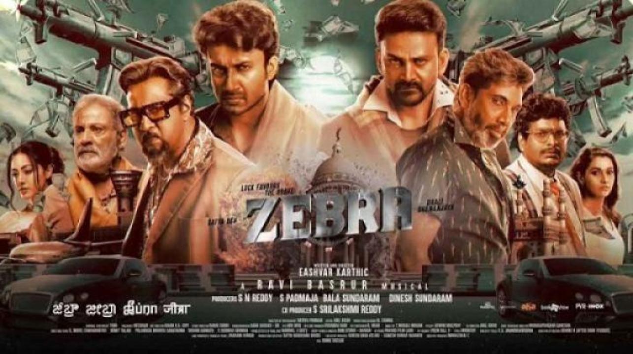 مشاهدة فيلم Zebra 2024 مترجم جديدك