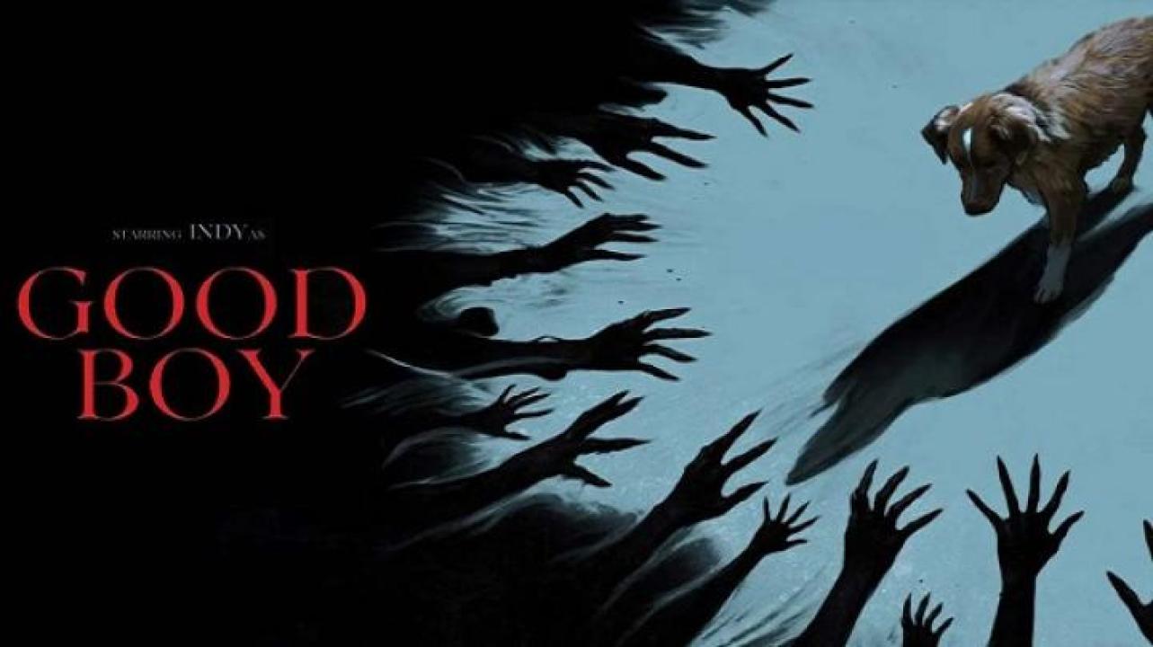 مشاهدة فيلم Good Boy 2025 مترجم جديدك