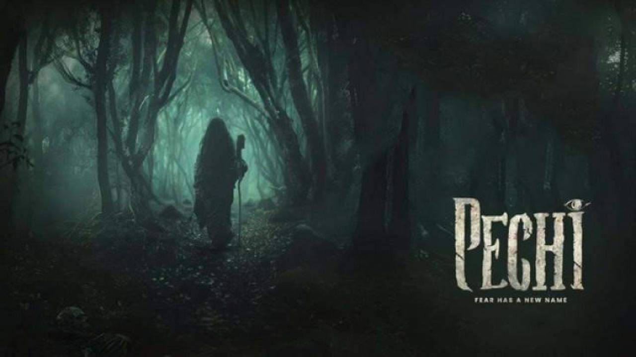 مشاهدة فيلم Pechi 2024 مترجم جديدك