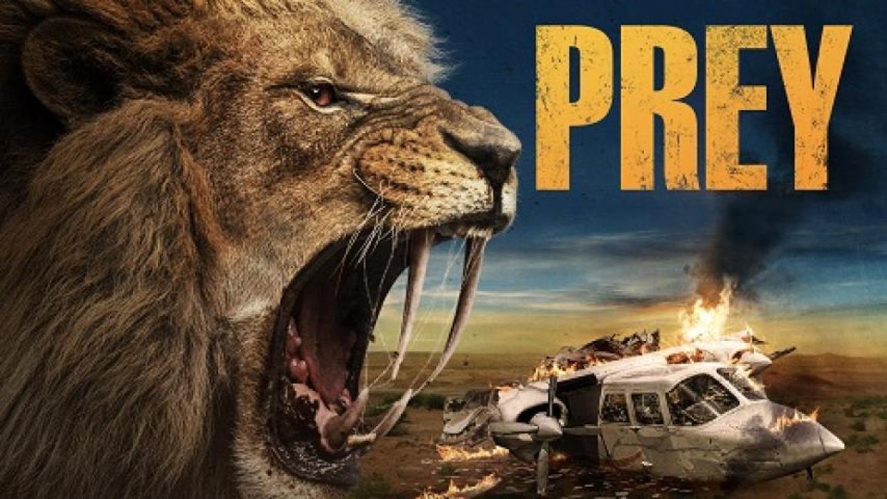 مشاهدة فيلم Prey 2024 مترجم جديدك